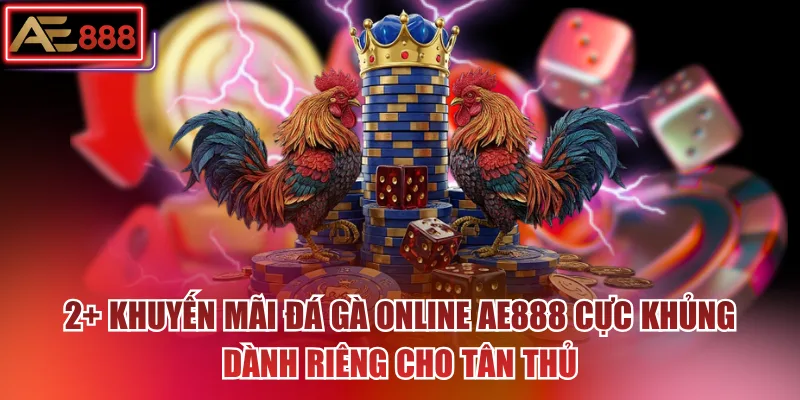 2+ khuyến mãi đá gà online AE888 cực khủng dành riêng cho tân thủ