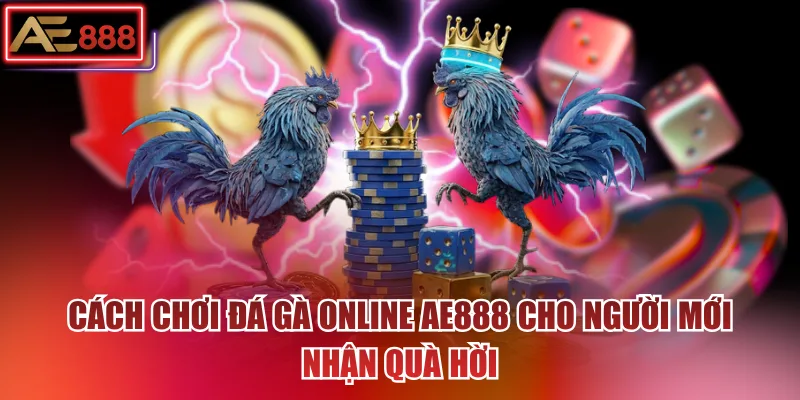 Cách Chơi Đá Gà Online AE888 Cho Người Mới Nhận Quà Hời
